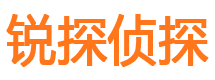 宜阳市私家侦探